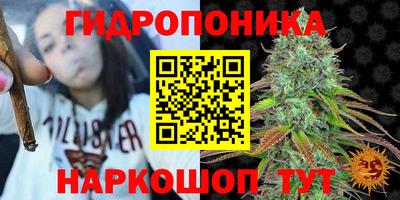 apvp Аргун