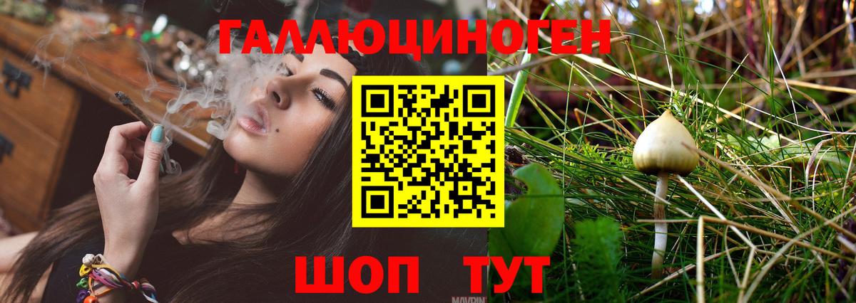 Абинск  Галлюциногенные грибы ЛСД  Вход с VPN 