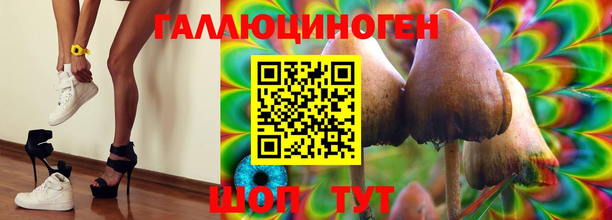 Галлюциногенные грибы мухоморы Абинск